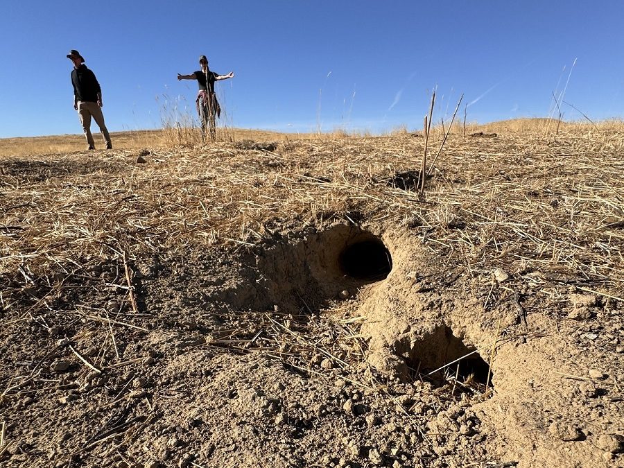 Sharing and Collaborating: Field Day with Sequoia Riverlands Trust