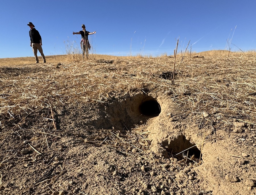 Sharing and Collaborating: Field Day with Sequoia Riverlands Trust